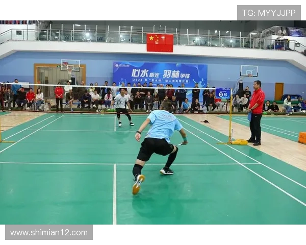 北京羽毛球队比赛经验深度对比与分析探讨